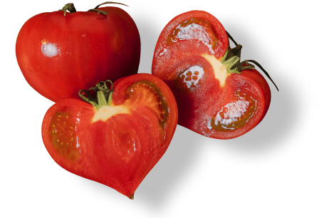 たかしまフルーティトマトのお酒を注ぐイメージ